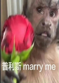 中午吃老南瓜能减肥吗