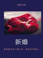 新婚爱情故事小说